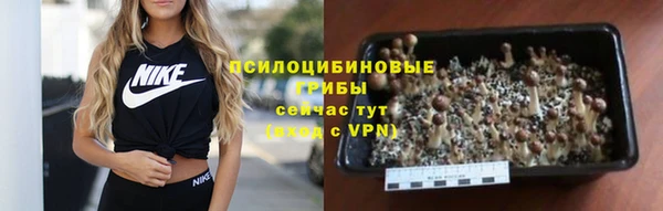 спиды Нягань