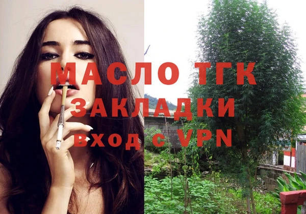 мяу мяу мука Няндома